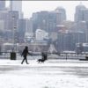 シアトル各地で雪を観測！