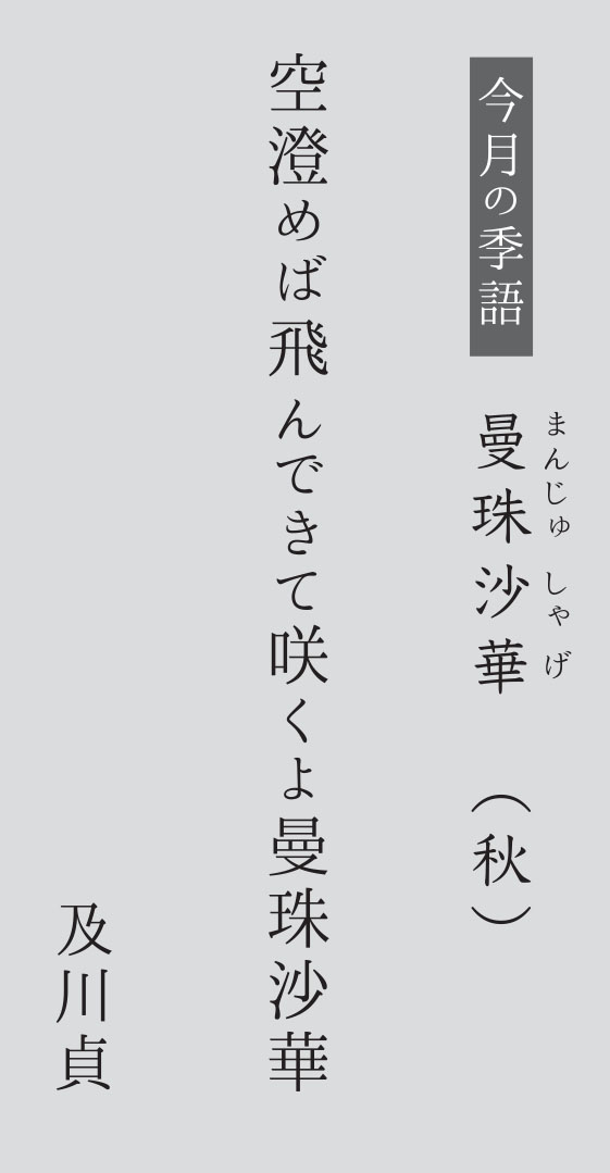 今月の季語 曼珠沙華 まんじゅしゃげ 秋 シアトルの生活情報誌 ソイソース