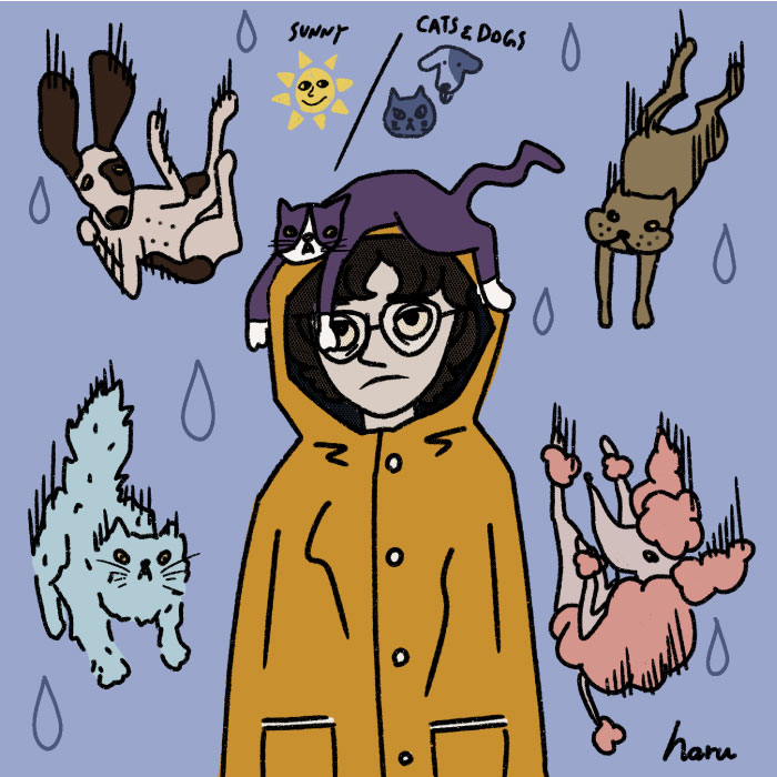 猫と犬 が降る時 It S Raining Cats And Dogs シアトルの生活情報誌 ソイソース