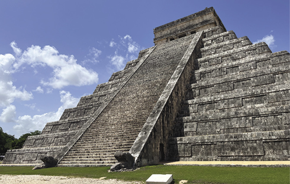 ＫＮ　メキシカンウィーピングバンブー　オタテア　アクミナータ　アズテッコラム　　1.6Ｍ以下 CM7-505◇ランクA*夢見る乙女フリル☆ゆったりBIG*ぴかぴかネグリジェ♪