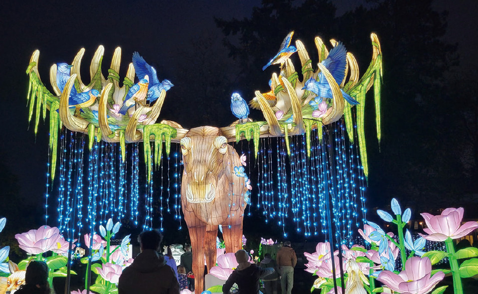 ランタンの明かりで動物園が別世界に大変身「ワイルドランタンズ